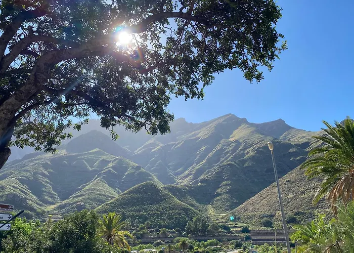 Дом отдыха Casa Mimosa With Private Pool & Garden Агаэте